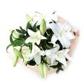 send lily arrangements to japan