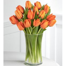 send 12 orange tulips to japan
