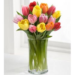 send 12 colorful mix tulip to japan