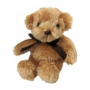 teddy bear online same day delivery