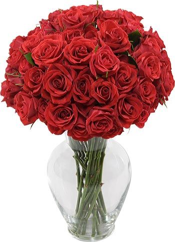 send 36 red roses in glass vase to japan